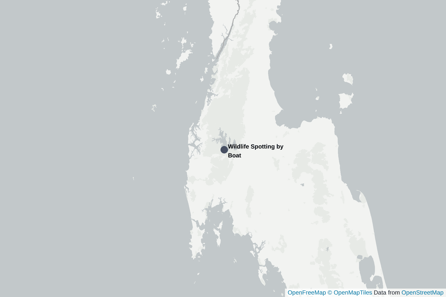Carte de Wildlife Spotting by Boat